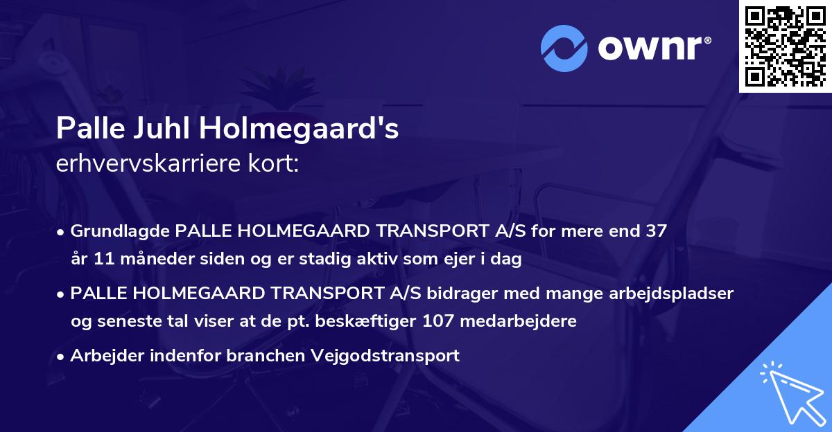 Palle Juhl Holmegaard's erhvervskarriere kort