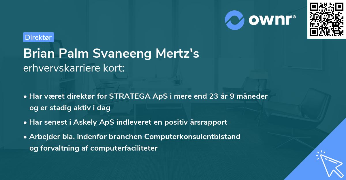 Brian Palm Svaneeng Mertz's erhvervskarriere kort