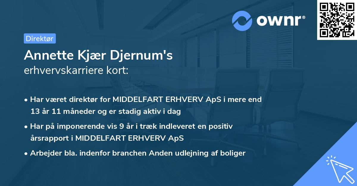 Annette Kjær Djernum's erhvervskarriere kort