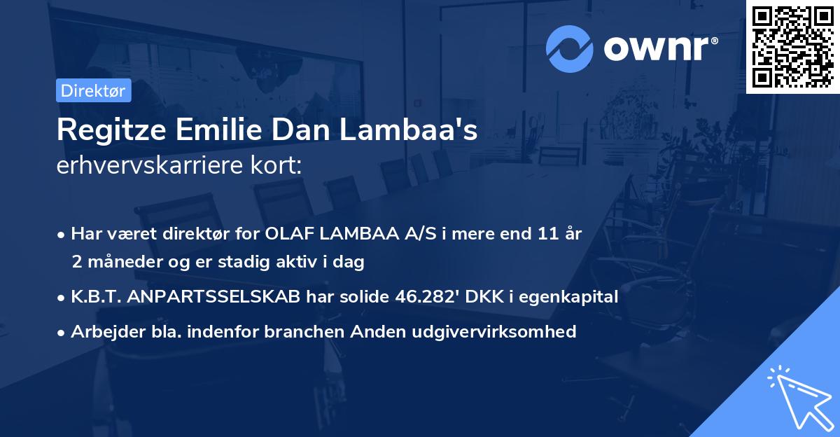 Regitze Emilie Dan Lambaa's erhvervskarriere kort