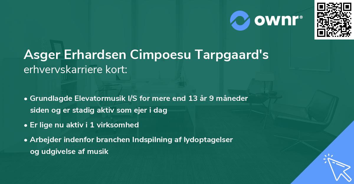Asger Erhardsen Cimpoesu Tarpgaard's erhvervskarriere kort