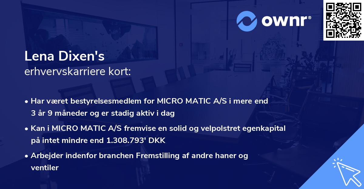 Lena Dixen's erhvervskarriere kort