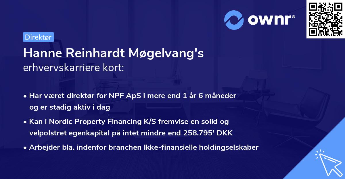 Hanne Reinhardt Møgelvang's erhvervskarriere kort