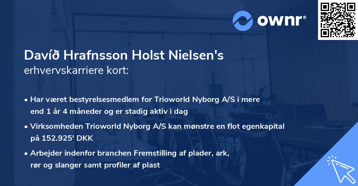 Davíð Hrafnsson Holst Nielsen's erhvervskarriere kort