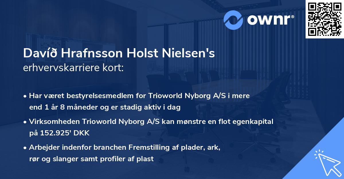 Davíð Hrafnsson Holst Nielsen's erhvervskarriere kort