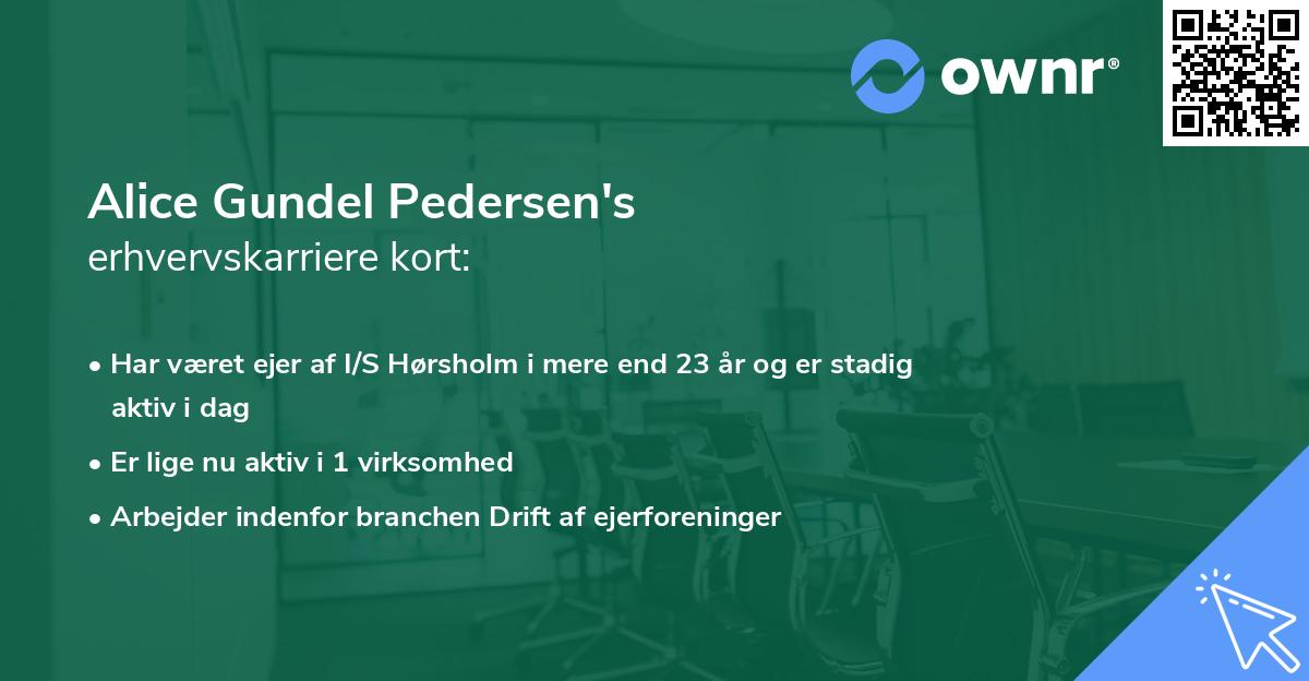 Alice Gundel Pedersen's erhvervskarriere kort