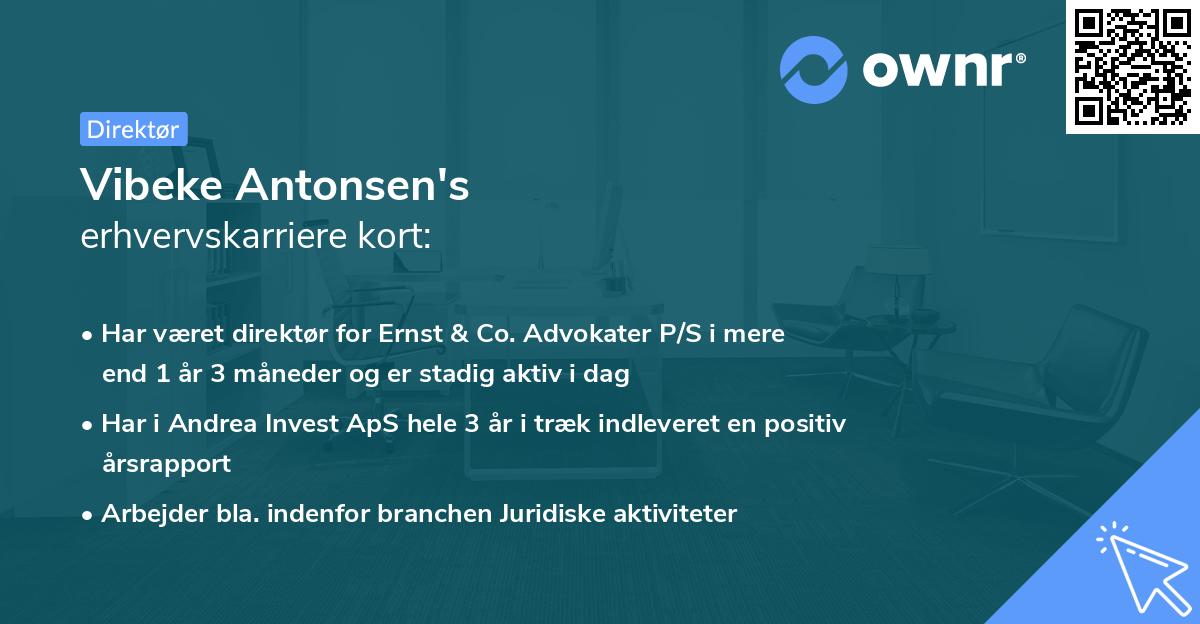 Vibeke Antonsen's erhvervskarriere kort