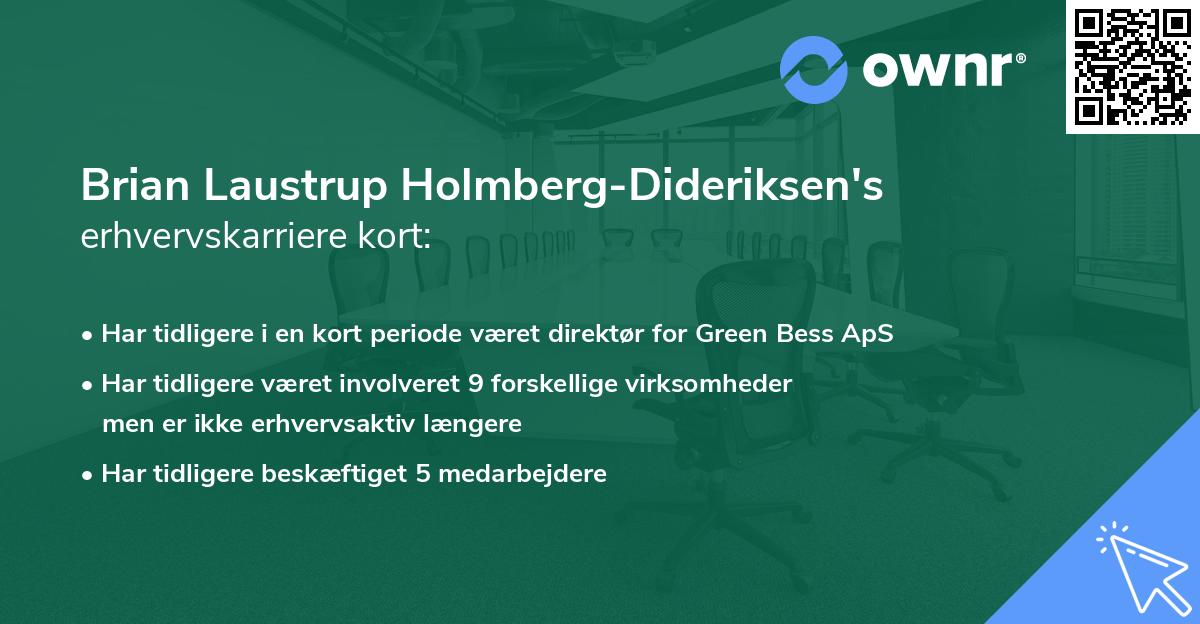 Brian Laustrup Holmberg-Dideriksen's erhvervskarriere kort