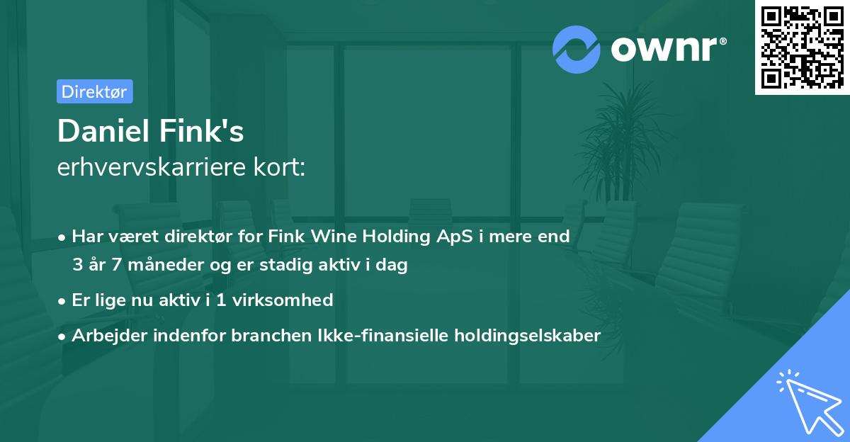 Daniel Fink's erhvervskarriere kort
