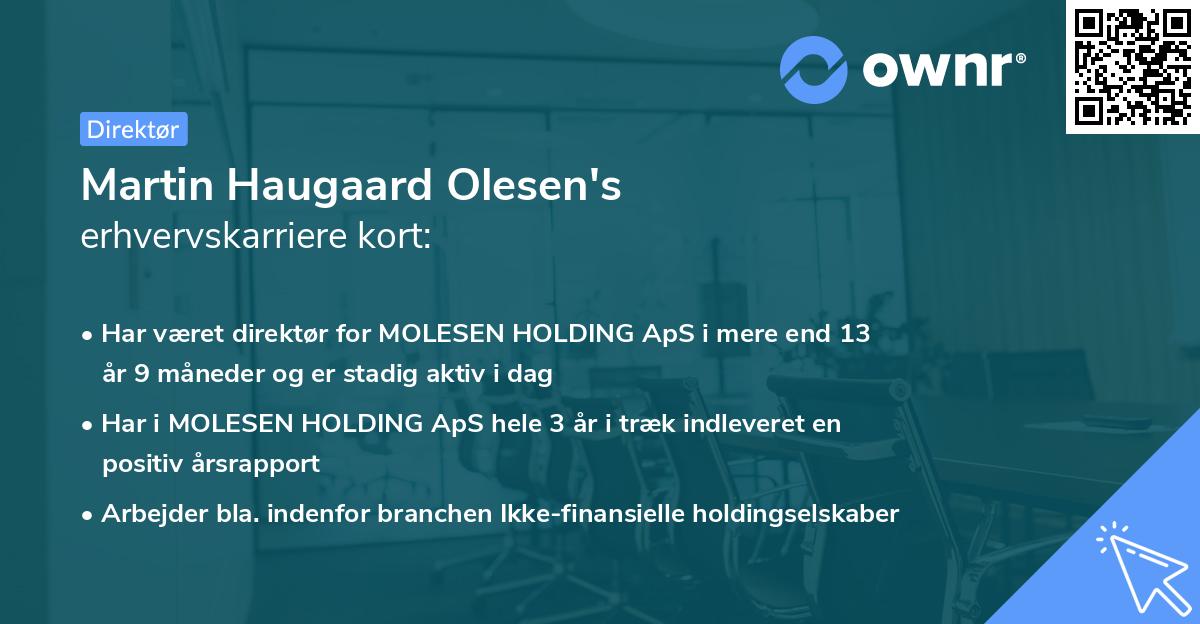 Martin Haugaard Olesen's erhvervskarriere kort