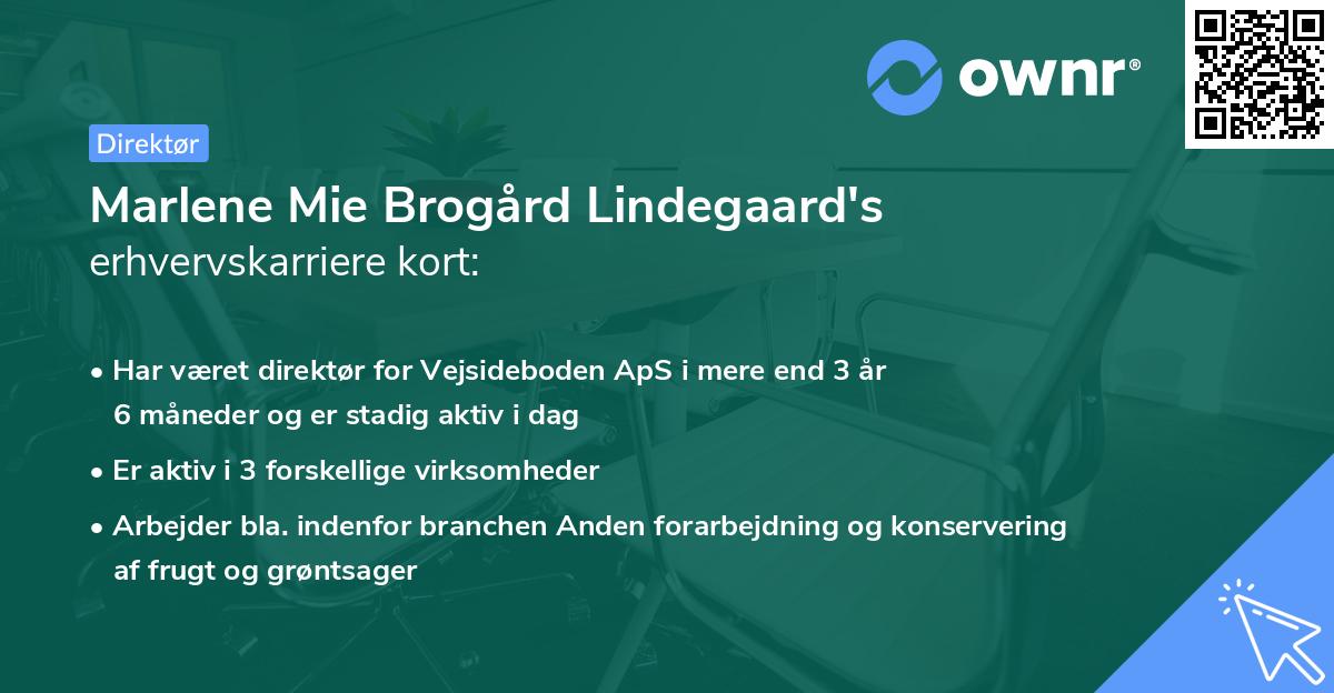 Marlene Mie Brogård Lindegaard's erhvervskarriere kort