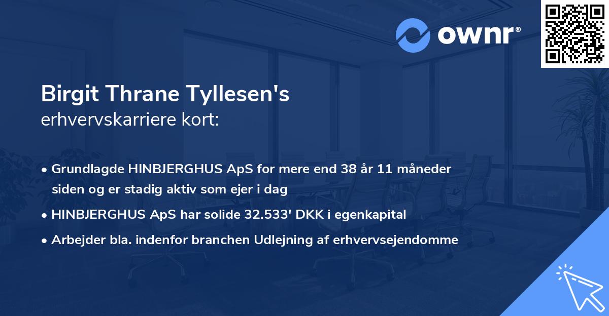 Birgit Thrane Tyllesen's erhvervskarriere kort