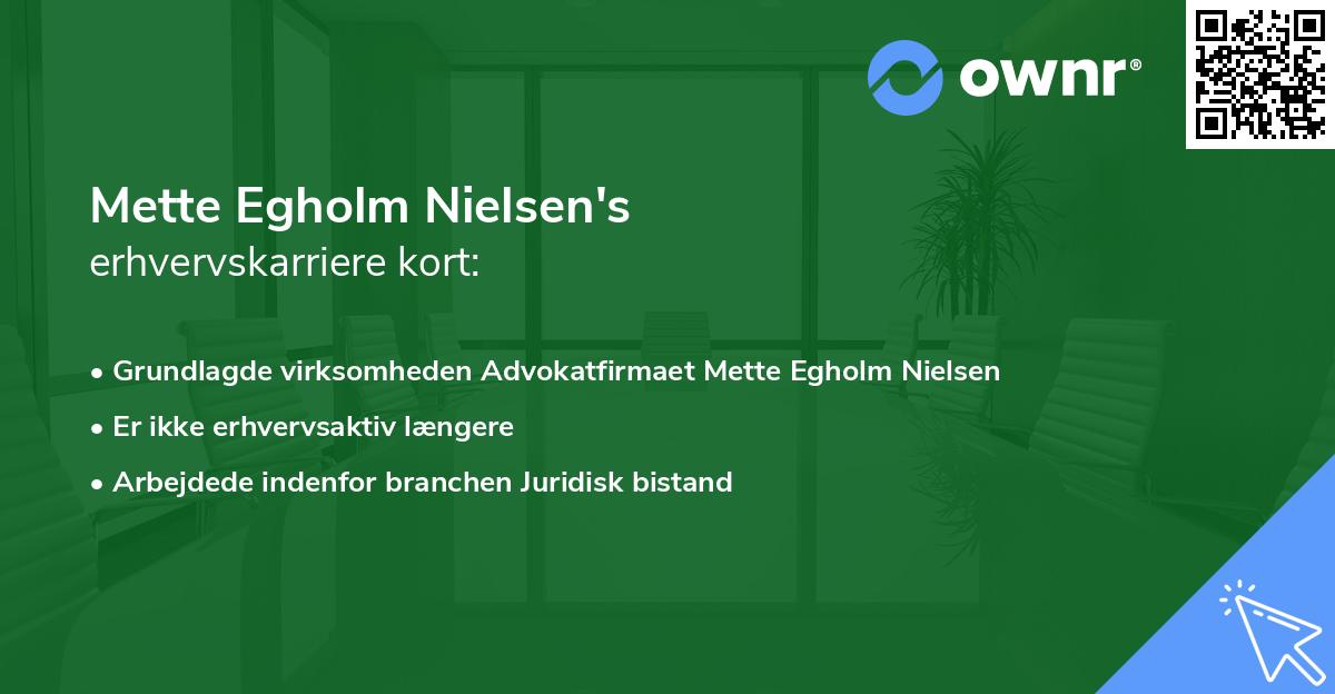 Mette Egholm Nielsen's erhvervskarriere kort