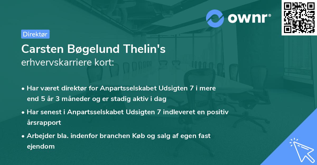 Carsten Bøgelund Thelin's erhvervskarriere kort