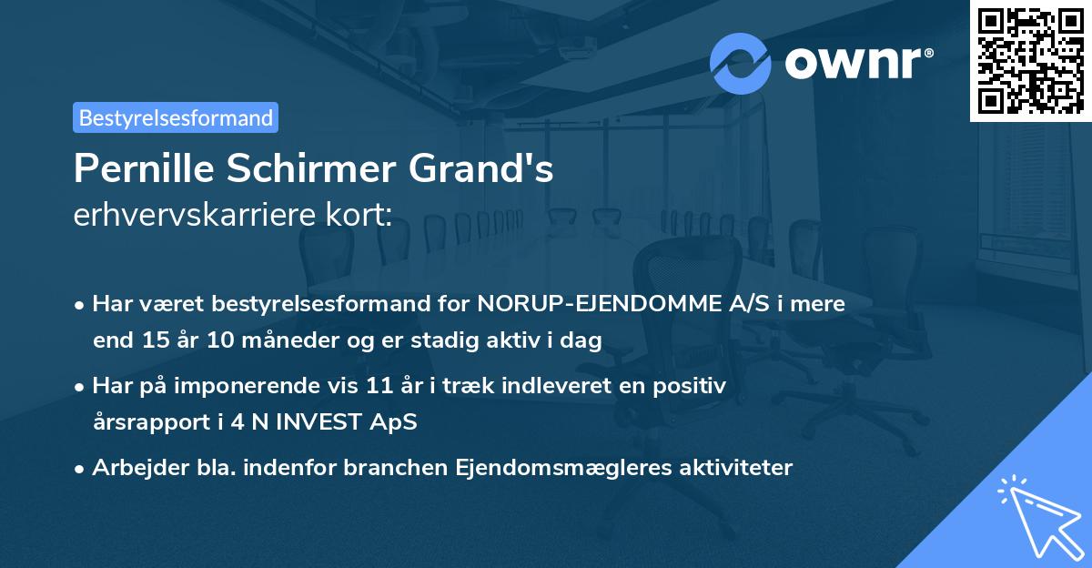 Pernille Schirmer Grand's erhvervskarriere kort