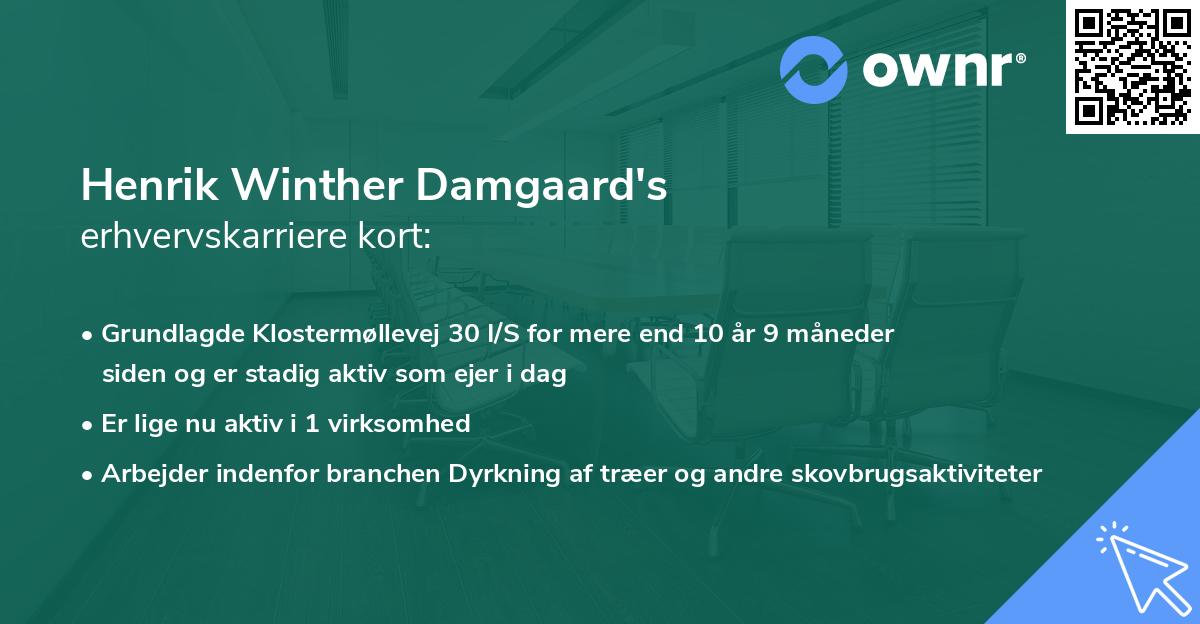 Henrik Winther Damgaard's erhvervskarriere kort