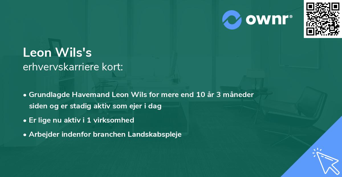 Leon Wils's erhvervskarriere kort