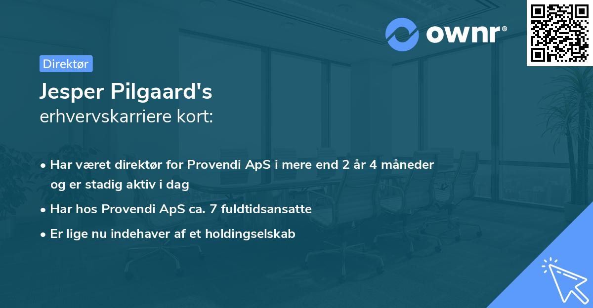 Jesper Pilgaard's erhvervskarriere kort