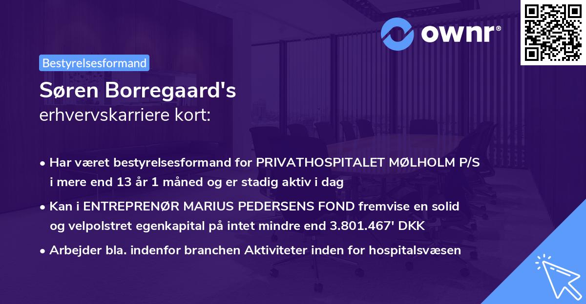 Søren Borregaard's erhvervskarriere kort
