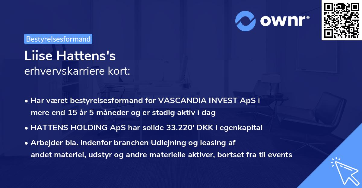 Liise Hattens's erhvervskarriere kort