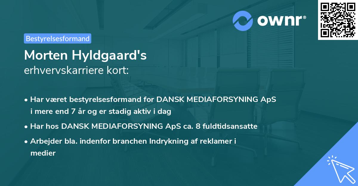 Morten Hyldgaard's erhvervskarriere kort
