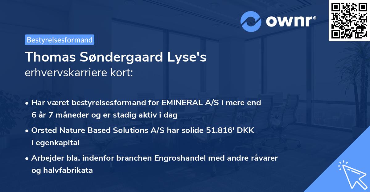 Thomas Søndergaard Lyse's erhvervskarriere kort