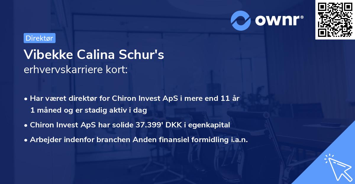 Vibekke Calina Schur's erhvervskarriere kort