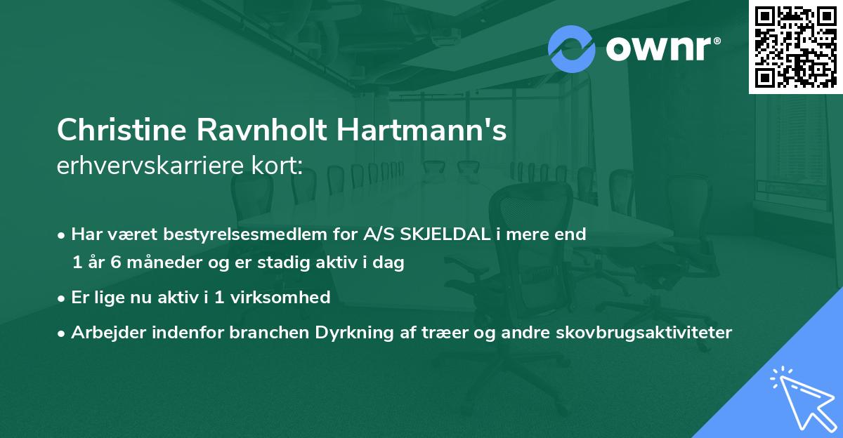 Christine Ravnholt Hartmann's erhvervskarriere kort