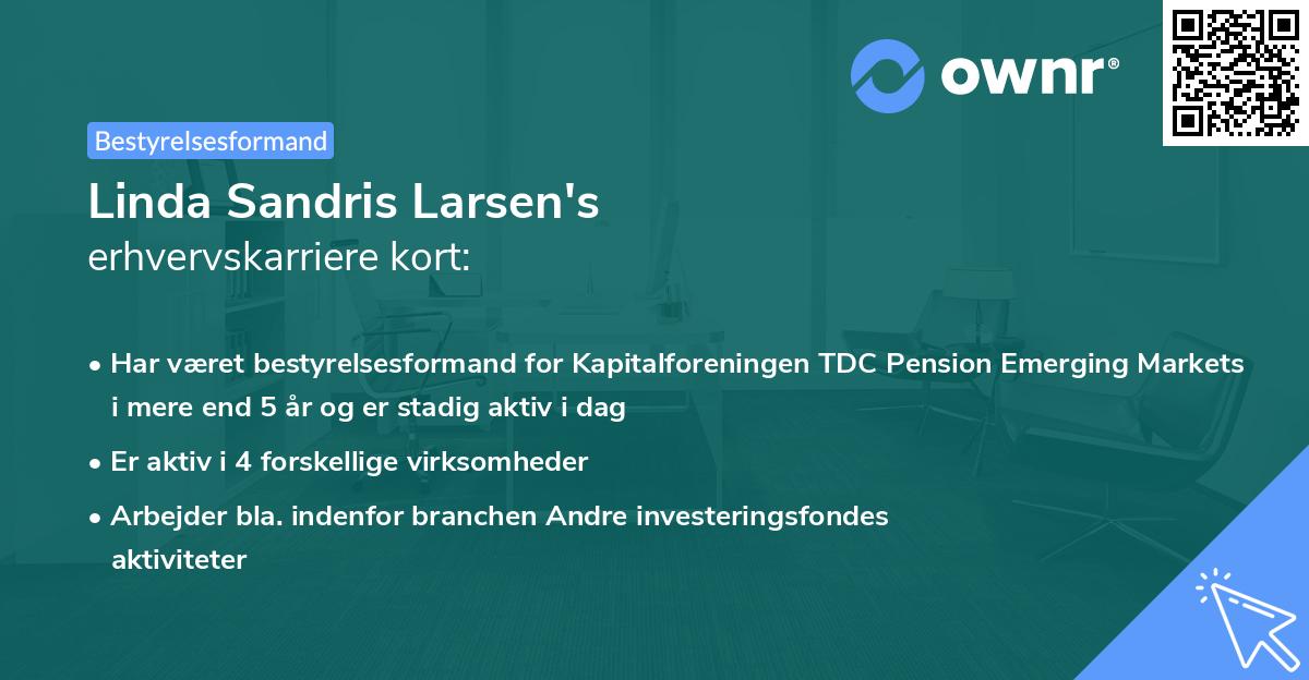 Linda Sandris Larsen's erhvervskarriere kort