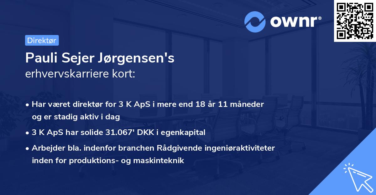 Pauli Sejer Jørgensen's erhvervskarriere kort