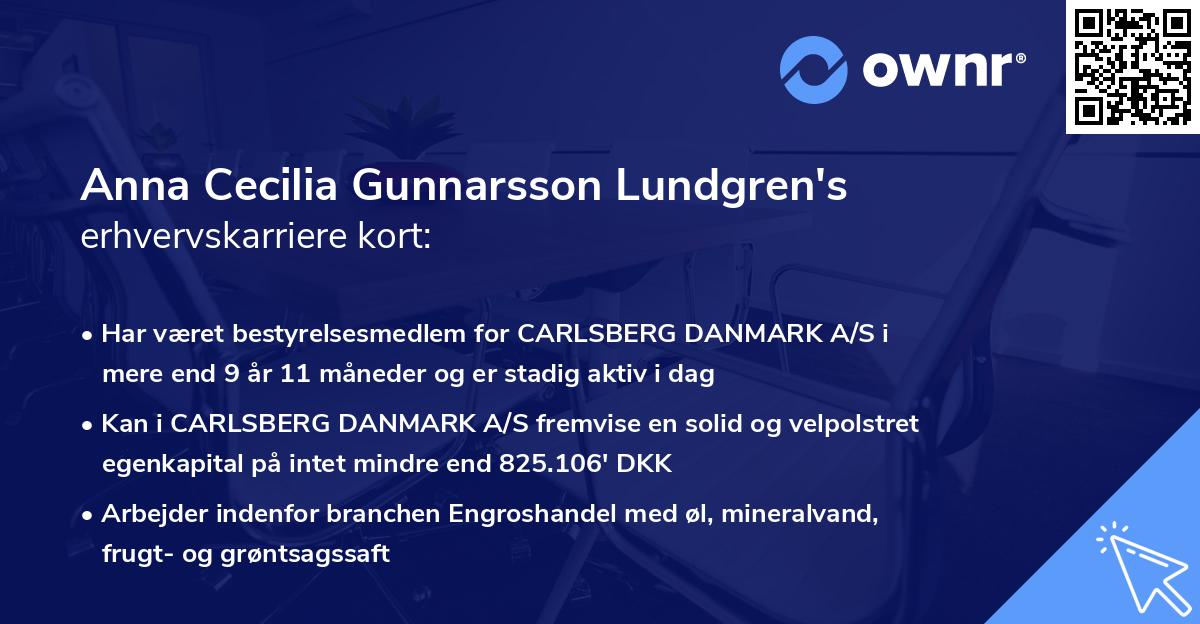 Anna Cecilia Gunnarsson Lundgren's erhvervskarriere kort