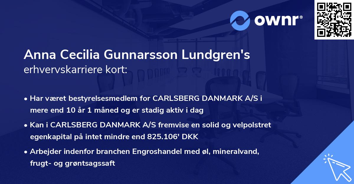 Anna Cecilia Gunnarsson Lundgren's erhvervskarriere kort