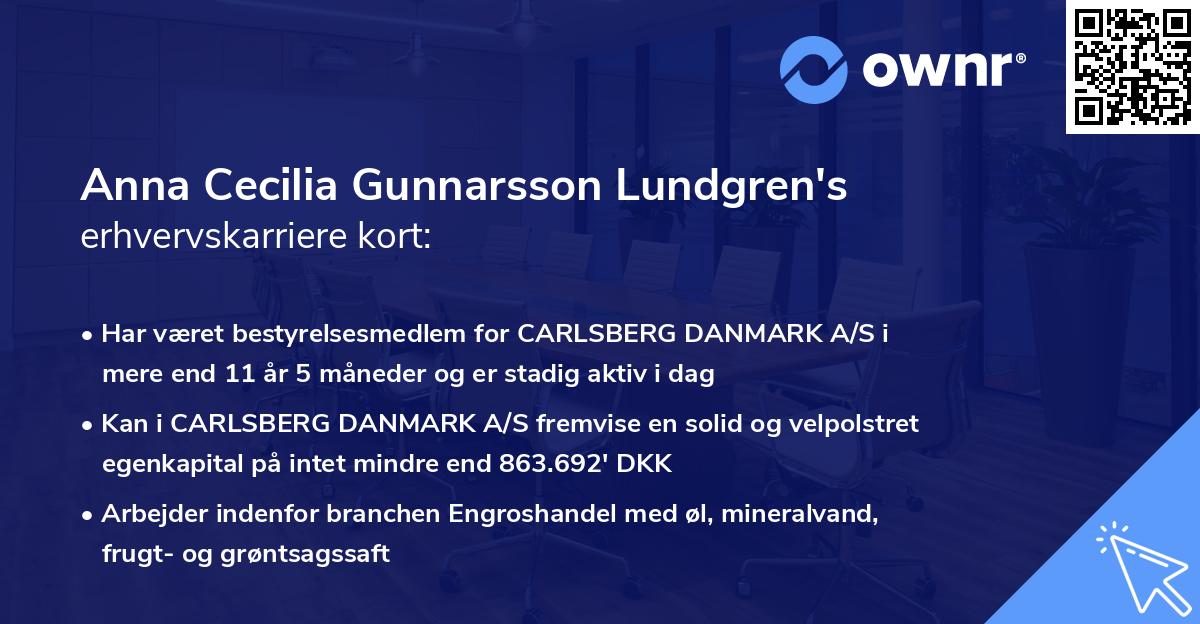 Anna Cecilia Gunnarsson Lundgren's erhvervskarriere kort