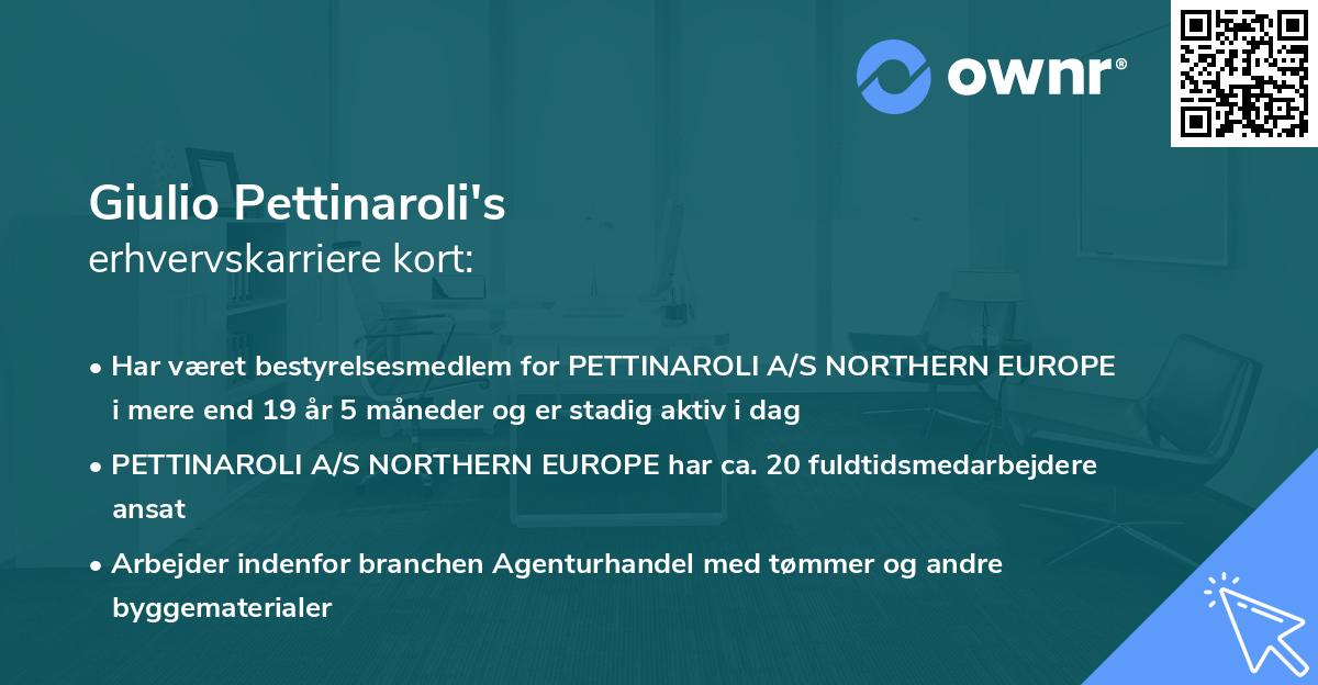 Giulio Pettinaroli's erhvervskarriere kort