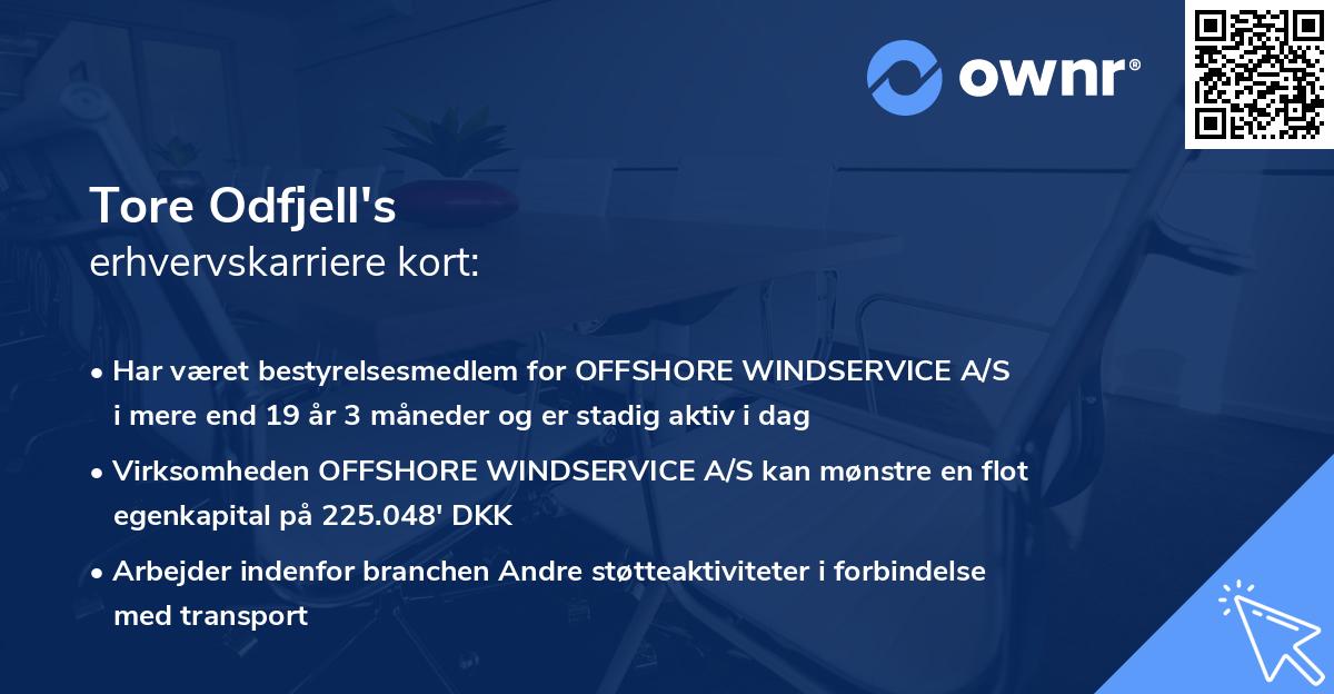 Tore Odfjell's erhvervskarriere kort