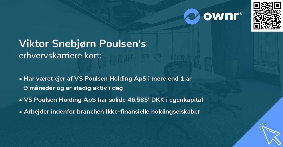 Viktor Snebjørn Poulsen's erhvervskarriere kort
