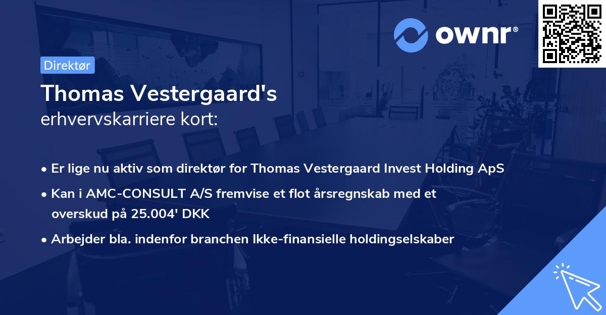Thomas Vestergaard's erhvervskarriere kort