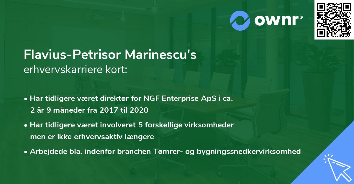 Flavius-Petrisor Marinescu's erhvervskarriere kort