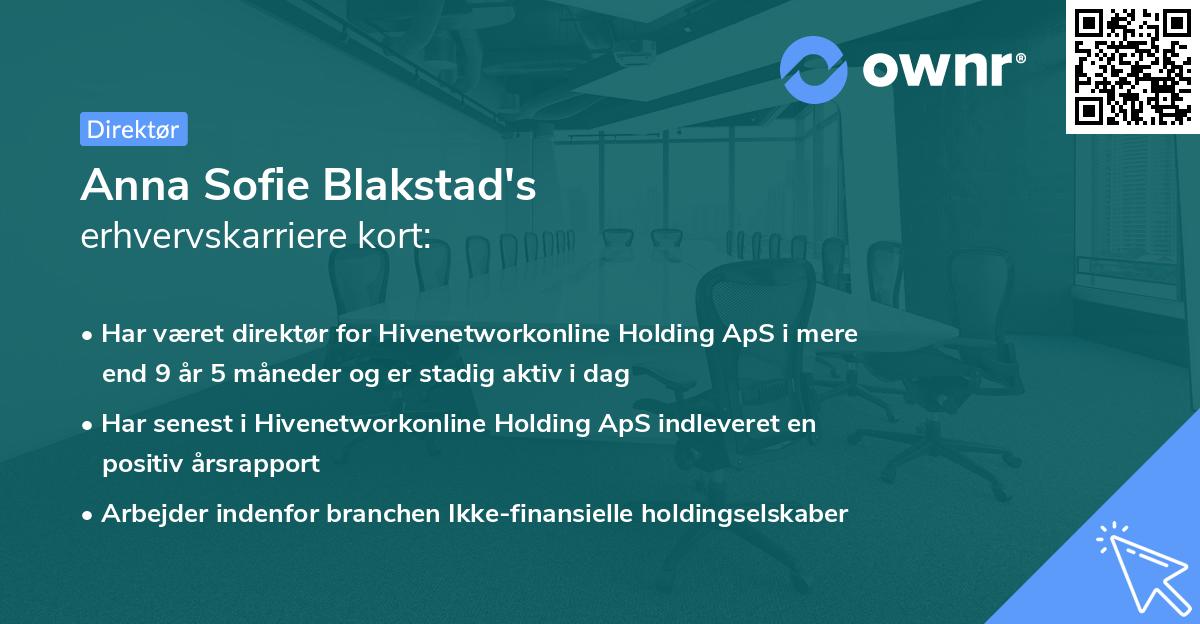 Anna Sofie Blakstad's erhvervskarriere kort
