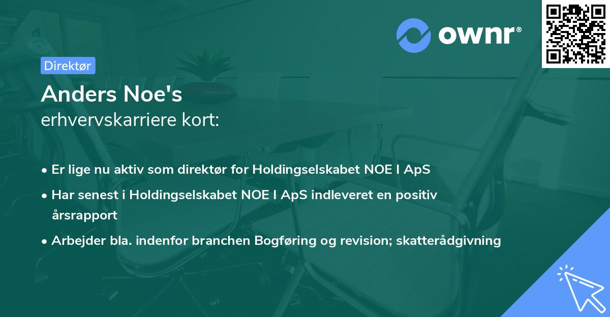 Anders Noe's erhvervskarriere kort