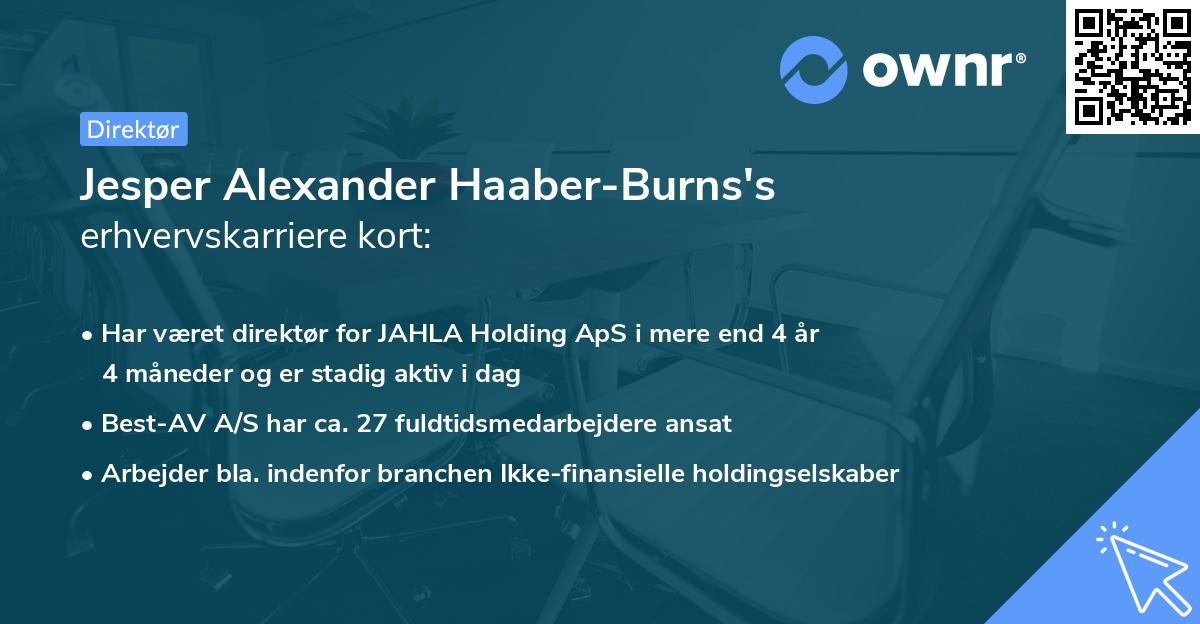 Jesper Alexander Haaber-Burns's erhvervskarriere kort