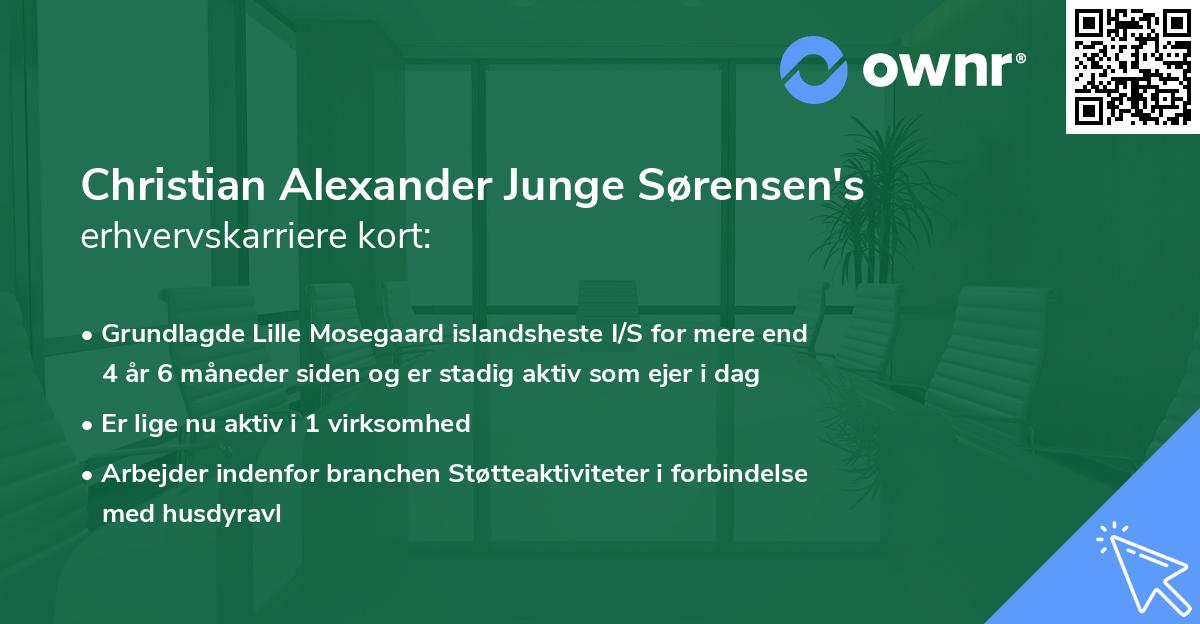 Christian Alexander Junge Sørensen's erhvervskarriere kort