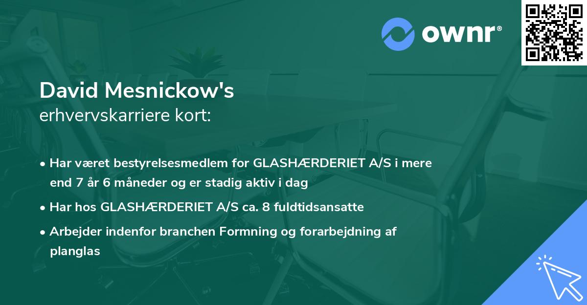 David Mesnickow's erhvervskarriere kort