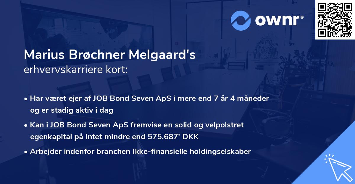 Marius Brøchner Melgaard's erhvervskarriere kort