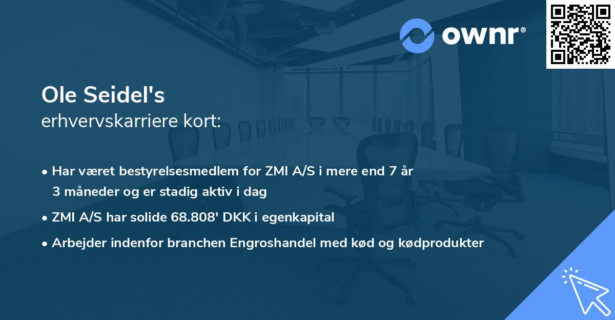 Ole Seidel's erhvervskarriere kort
