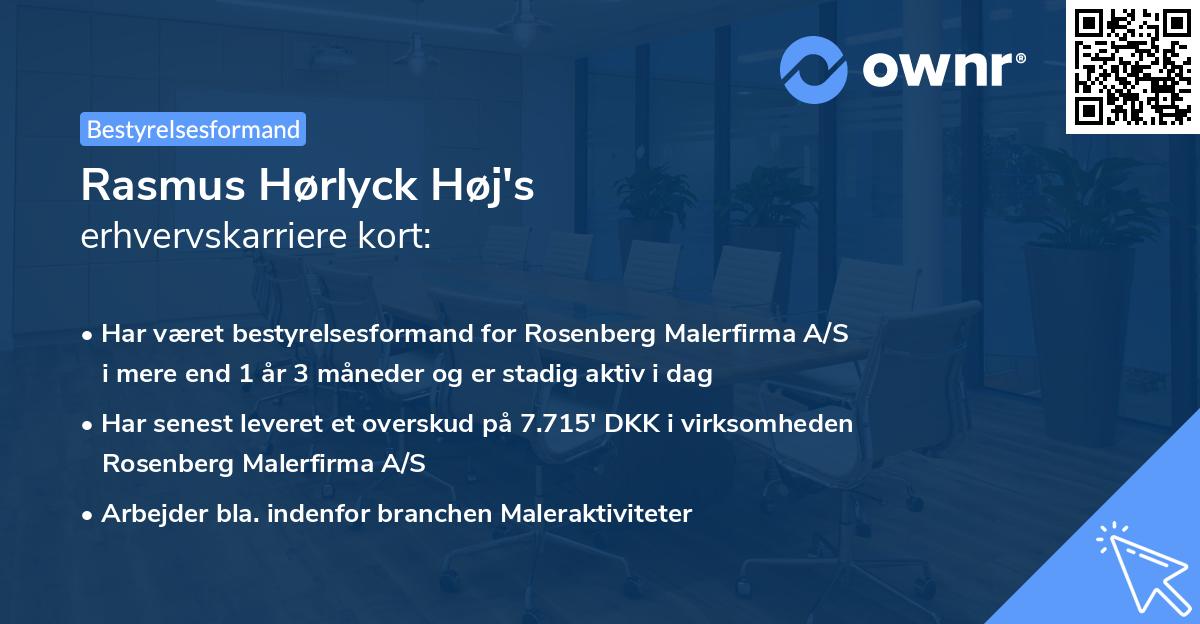 Rasmus Hørlyck Høj's erhvervskarriere kort