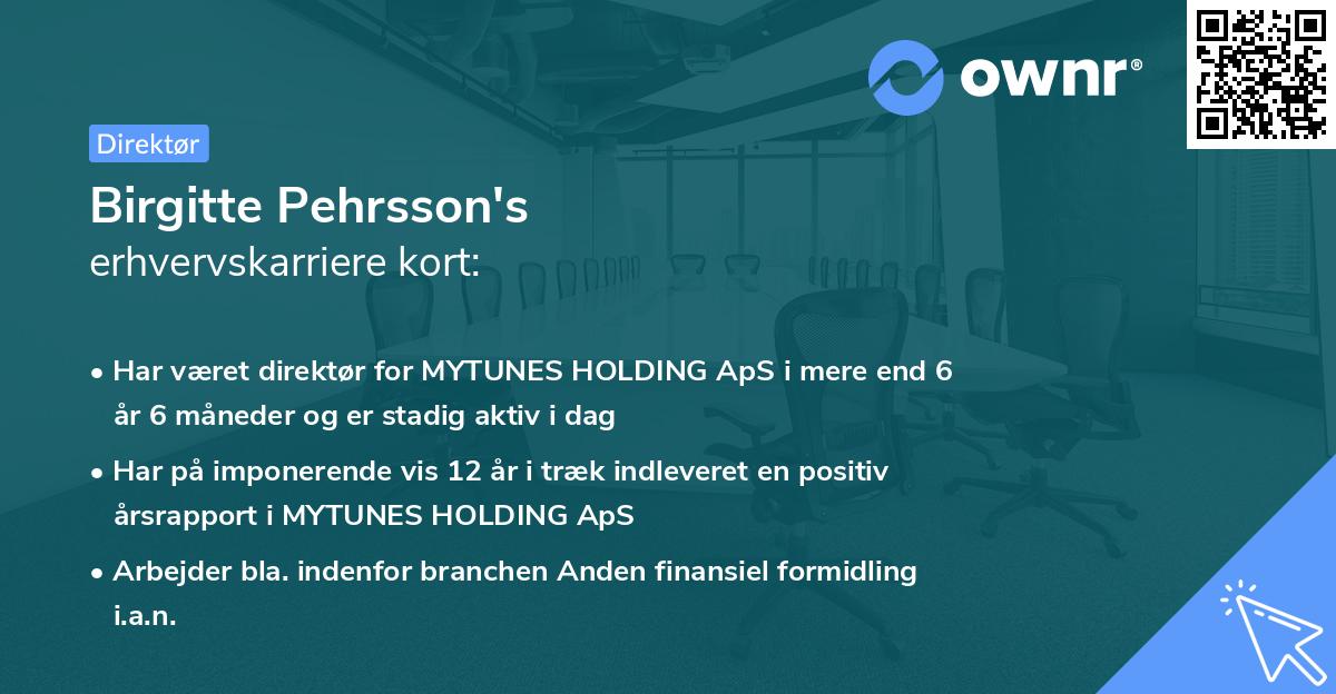 Birgitte Pehrsson's erhvervskarriere kort