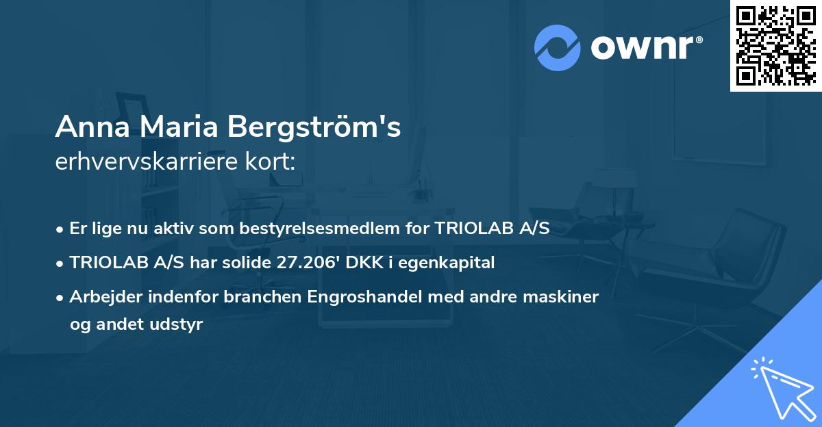 Anna Maria Bergström's erhvervskarriere kort
