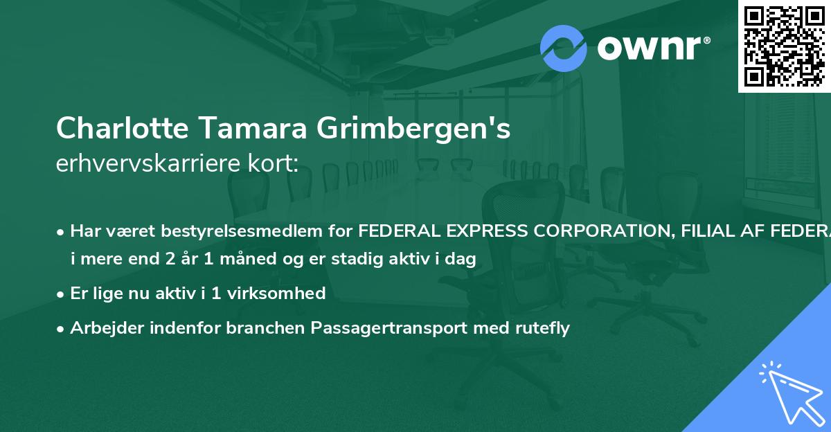 Charlotte Tamara Grimbergen's erhvervskarriere kort