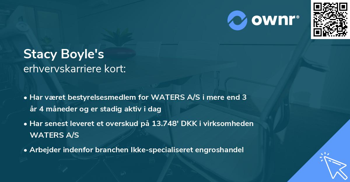 Stacy Boyle's erhvervskarriere kort